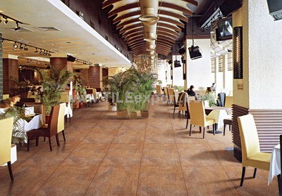 Floor_Tile--Porcelain_Tile,600X600mm[SS],6699_view